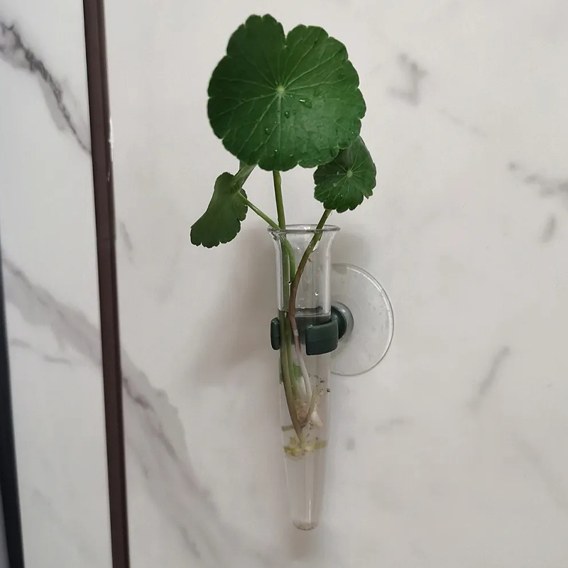 11cm Floral Water Tubes Plasti - مراجعة Nutrition & Fitness Coaching Fulham وسعره