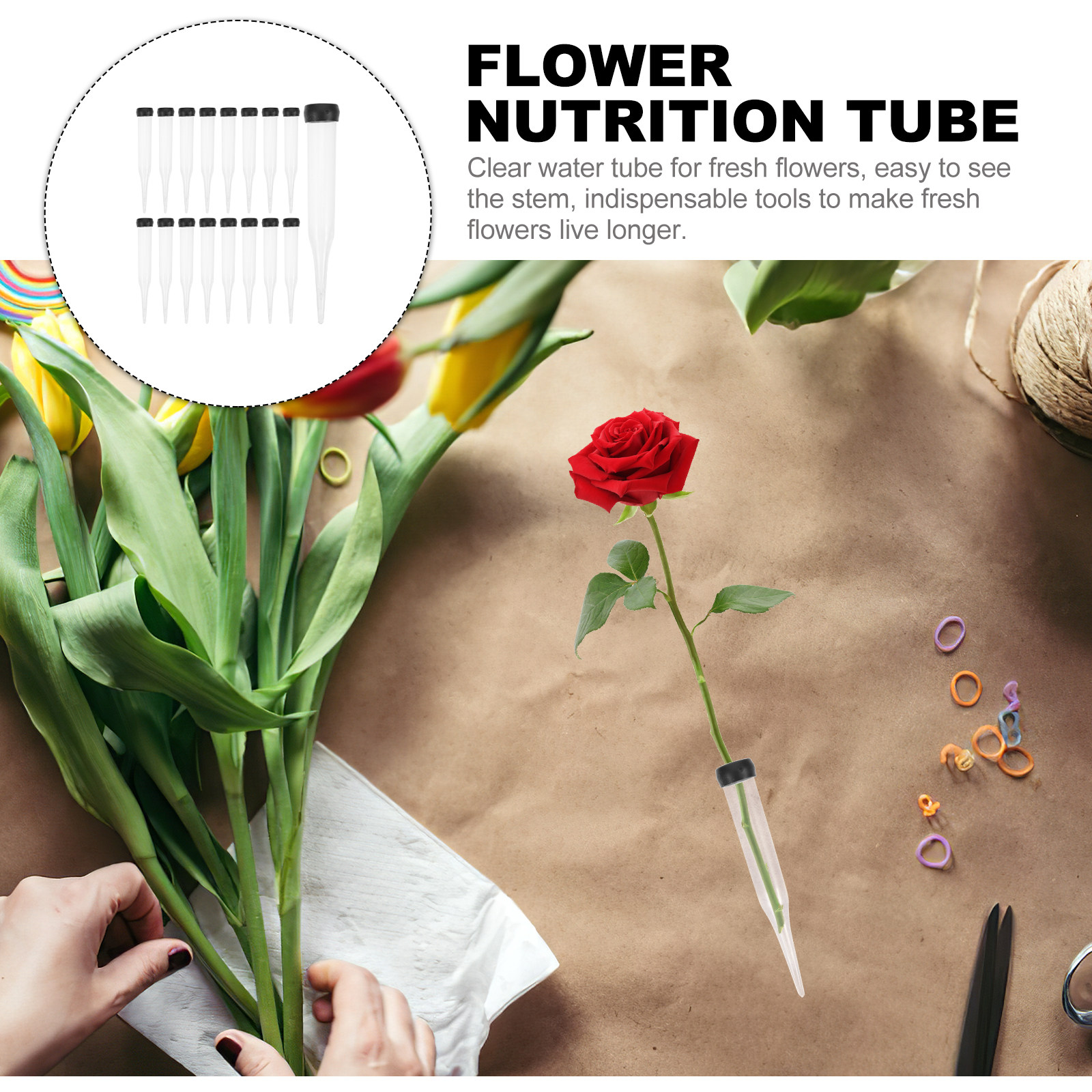 50Pcs Fresh Flower Nutrition T - مراجعة Nutrition & Fitness Coaching Fulham وسعره