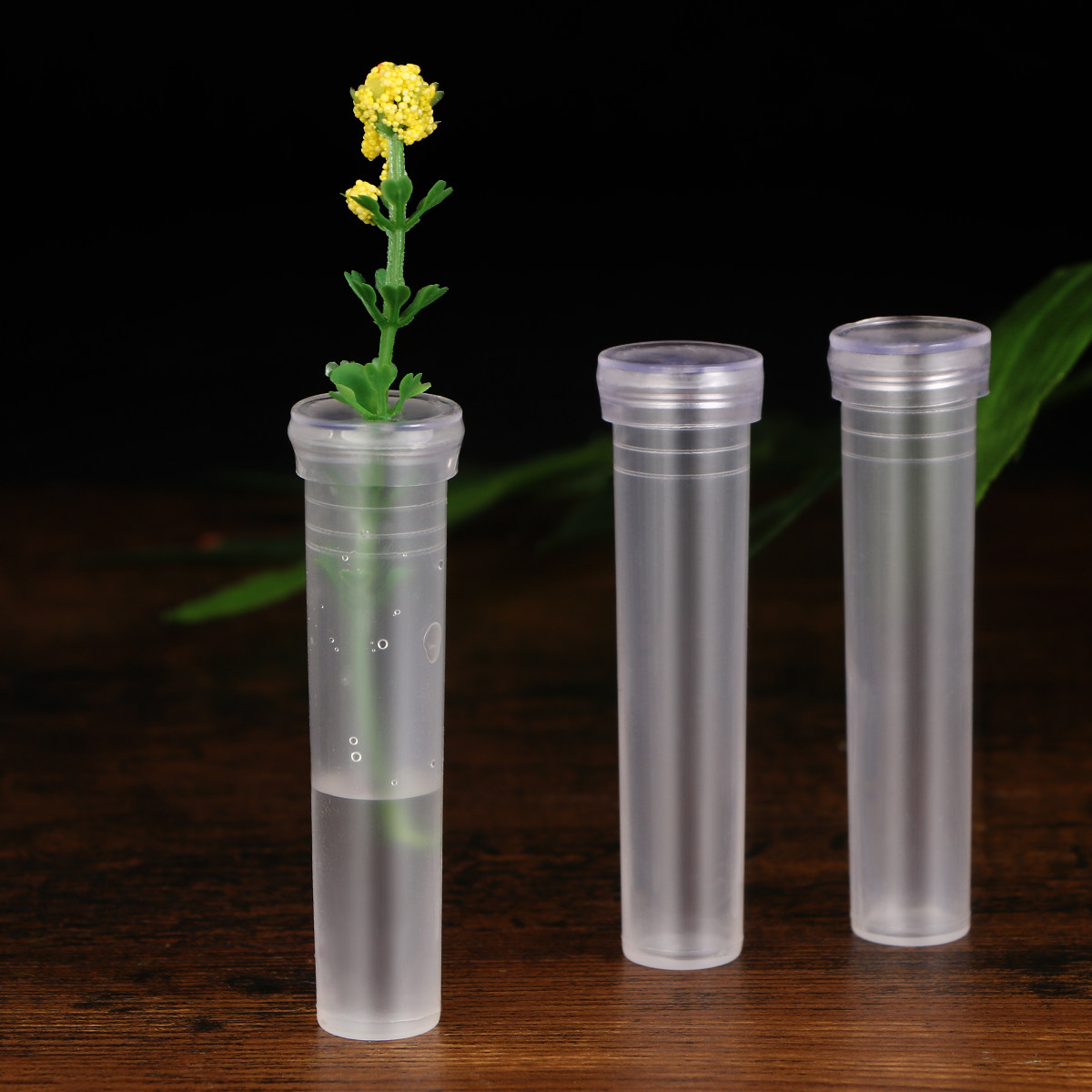 50Pcs Flower Water Tube Premiu - مراجعة Nutrition & Fitness Coaching Fulham وسعره