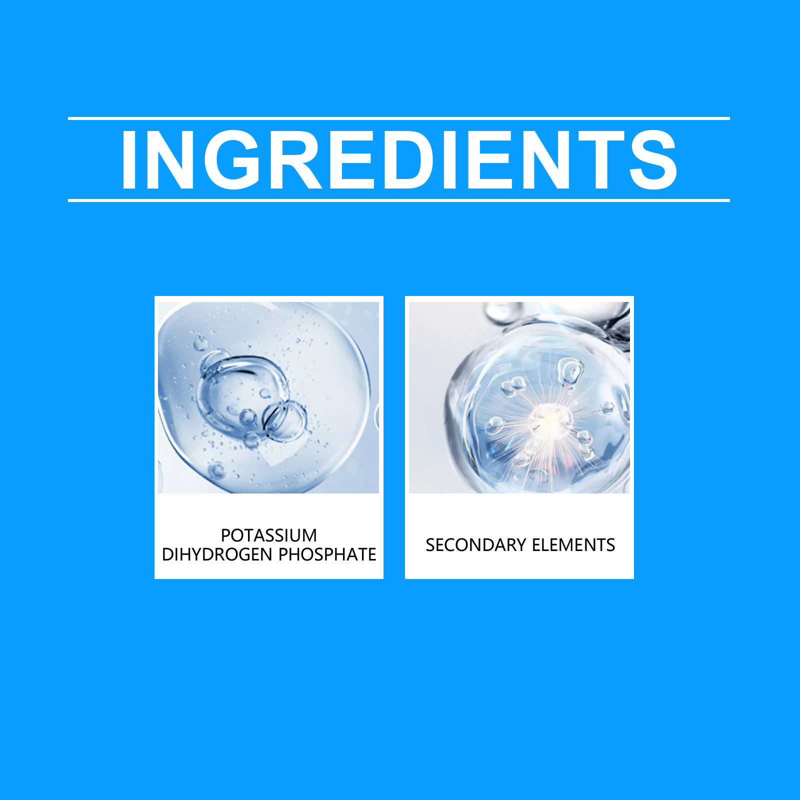 Flower Nutrient Solution Liqui - مراجعة Nutrition & Fitness Coaching Fulham وسعره