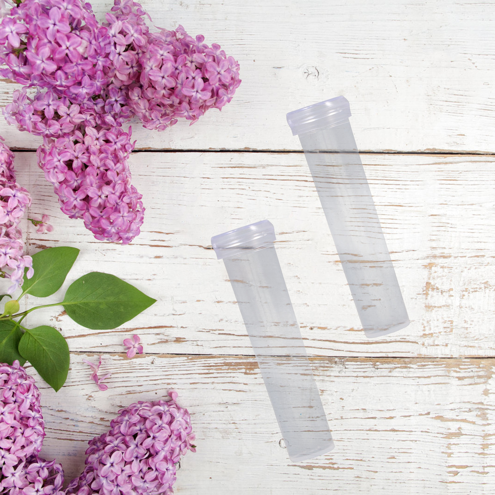50Pcs Fresh Flower Water Tubes - مراجعة Nutrition & Fitness Coaching Fulham وسعره